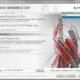 Aktivatsiya Autodesk Autocad Lt Sp1 X86 X64 Rus Eng.webp