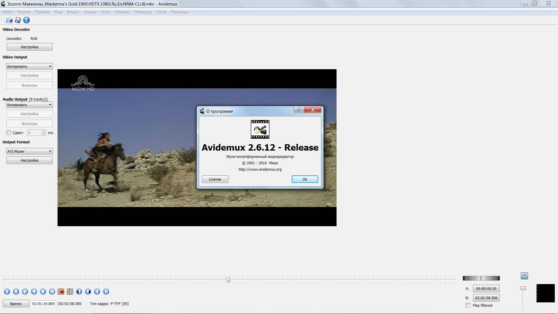 Aktivatsiya Avidemux 2.6.12.webp