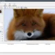 Aktivatsiya Benvista Photozoom Pro Plug In For Photoshop 9.0.2 Repack By Elchupacabra.webp