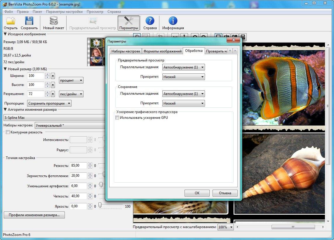 Aktivatsiya Benvista Photozoom Pro 6.0.2.jpg