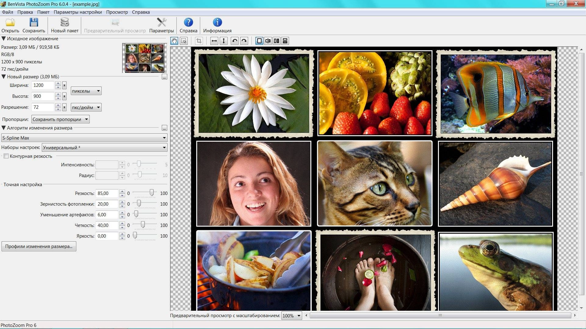 Aktivatsiya Benvista Photozoom Pro 6.0.4.webp