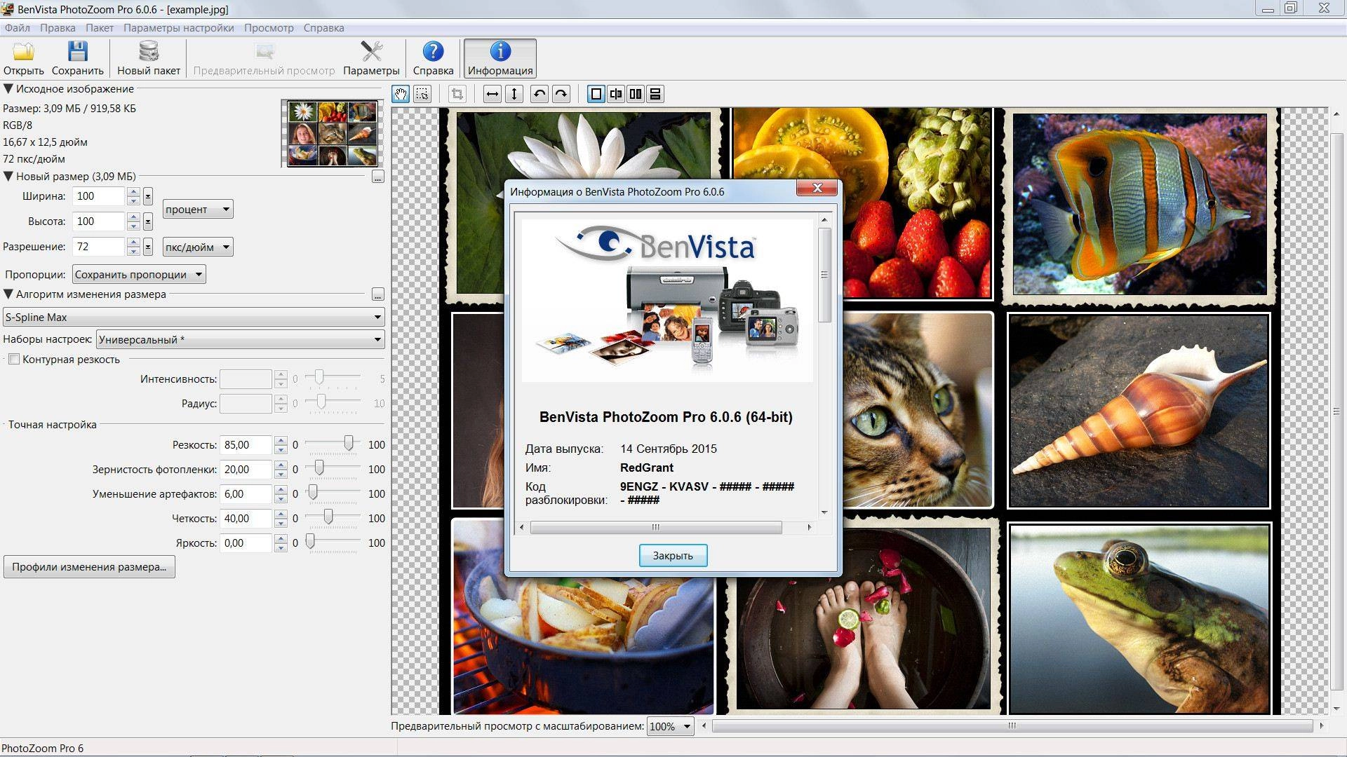 Aktivatsiya Benvista Photozoom Pro 6.0.6.webp