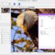 Aktivatsiya Benvista Photozoom Pro 6.0.8 Repack By Kpojiuk.jpg