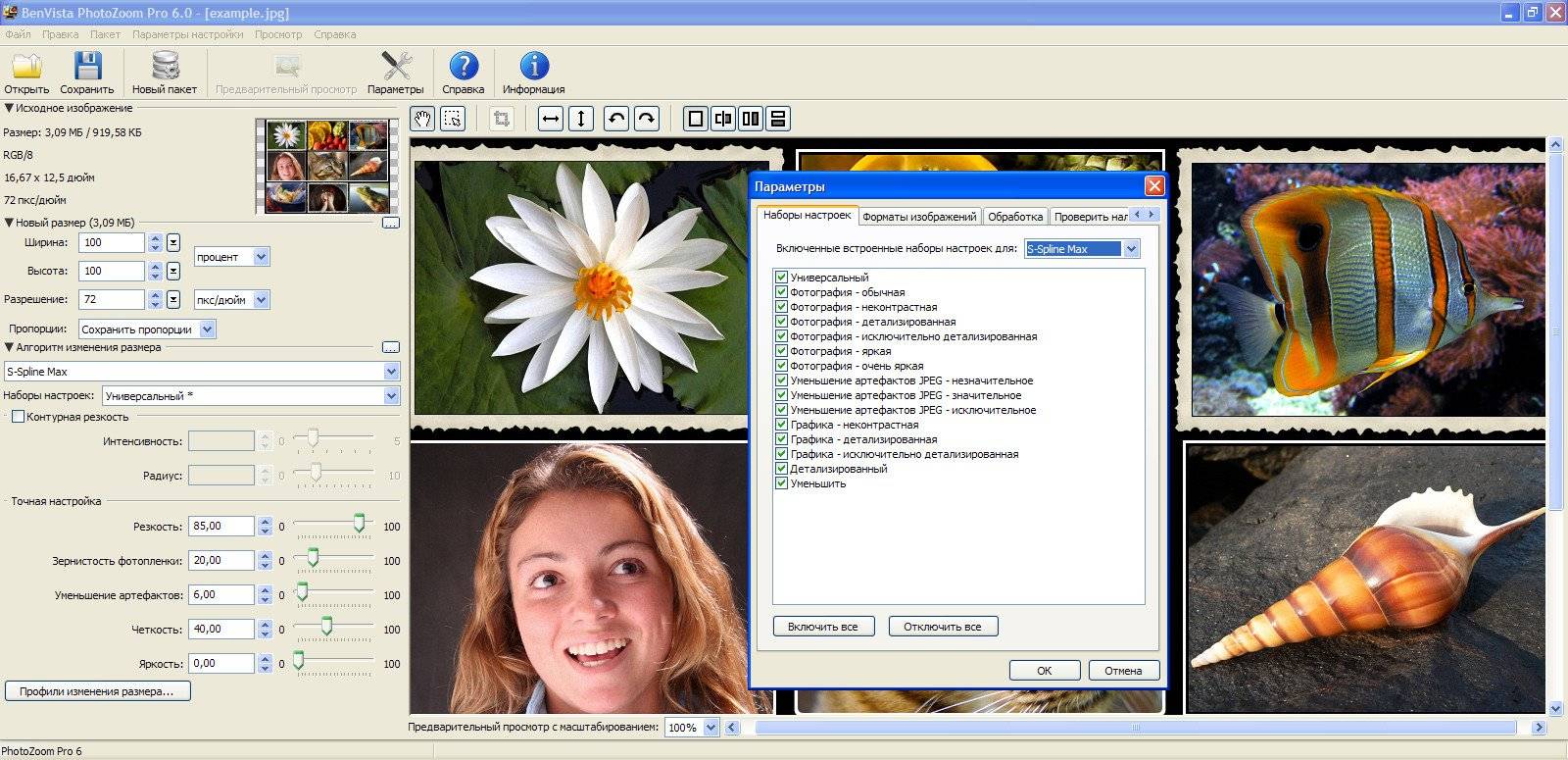 Aktivatsiya Benvista Photozoom Pro 6.0.jpg