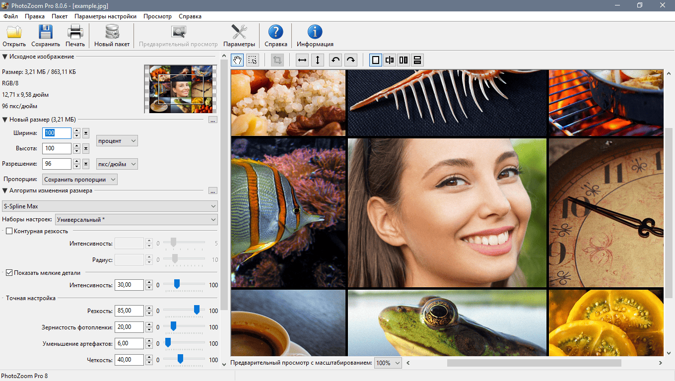 Описание программы Benvista PhotoZoom Pro 9.0.2 RePack & Portable) by TryRooM