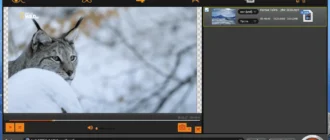 Aktivatsiya Bigasoft Total Video Converter 6.6.1.9133 Repack By Elchupacabra.webp