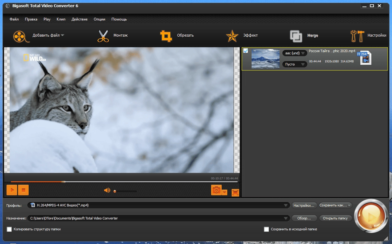 Aktivatsiya Bigasoft Total Video Converter 6.6.1.9133 Repack By Elchupacabra.webp