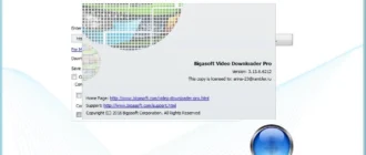 Aktivatsiya Bigasoft Video Downloader Pro 3.13.6.6212.webp