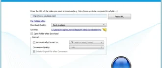 Aktivatsiya Bigasoft Video Downloader Pro 3.15.4.6600 Repack By Vovava.webp