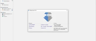 Aktivatsiya Biglybt 3.8.webp