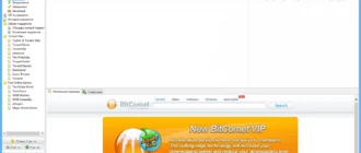 Aktivatsiya Bitcomet 1.40 Stable Portable.webp