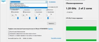 Aktivatsiya Bitsum Parkcontrol Pro 1.3.1.6.webp