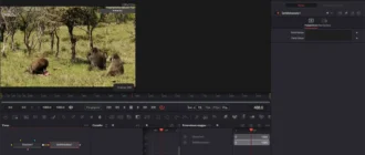Aktivatsiya Blackmagic Design Davinci Fusion Studio 19.0.1 Build 5 Portable By 7997.webp