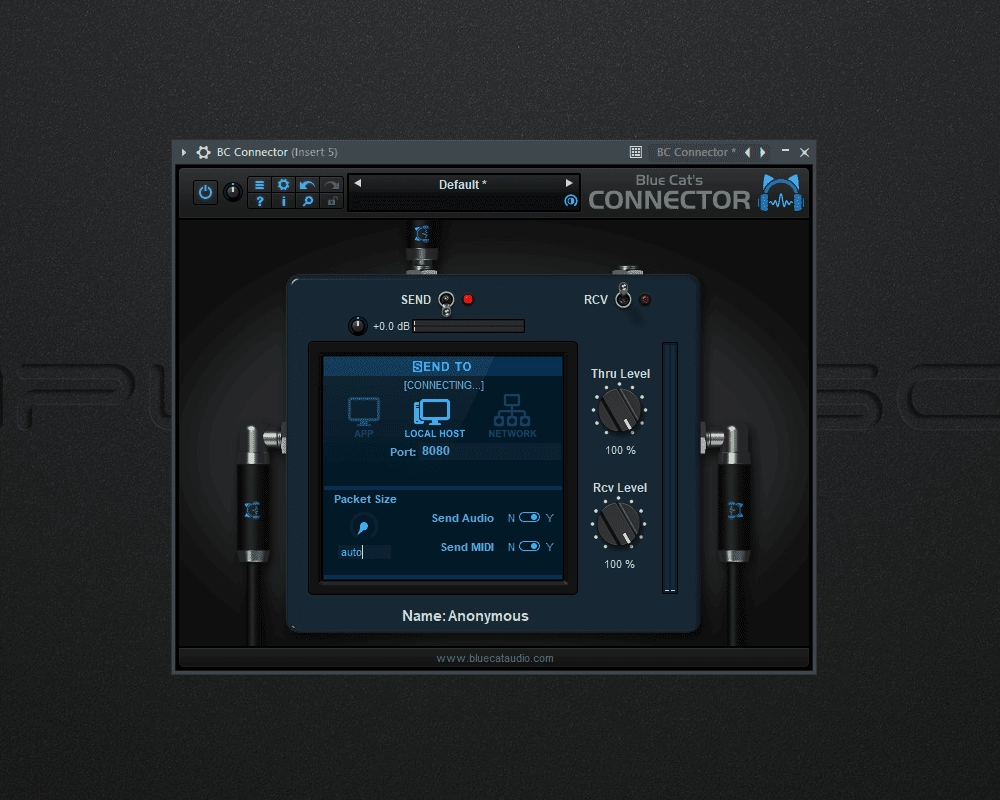 Описание программы Blue Cat's Connector 1.0 VST