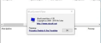 Aktivatsiya Bluescreenview 1.55.webp