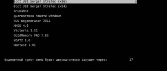 Aktivatsiya Boot Usb Sergei Strelec V.6.7.webp