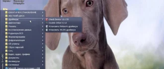 Aktivatsiya Boot Usb Sergei Strelec V.8.4. Win8.1.webp