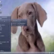 Aktivatsiya Boot Usb Sergei Strelec V.8.4. Win8.1.webp