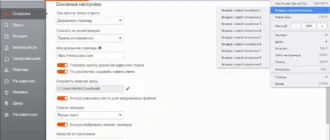 Aktivatsiya Brave Browser 1.67.123.webp