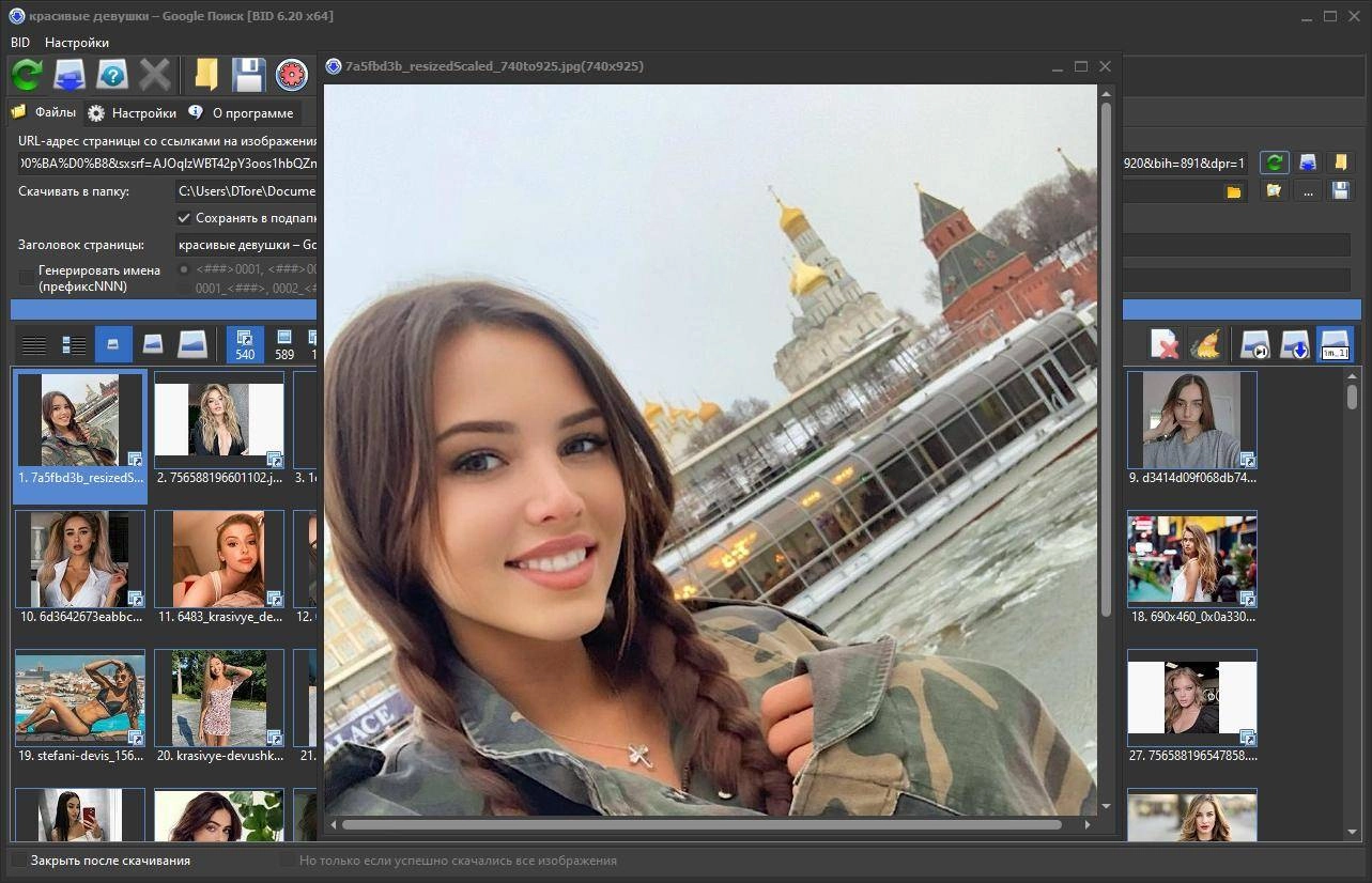 Aktivatsiya Bulk Image Downloader 6.50.0.0 Repack By Dodakaedr.webp