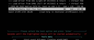 Aktivatsiya C9pe 2k10 7.40 Unofficial.webp