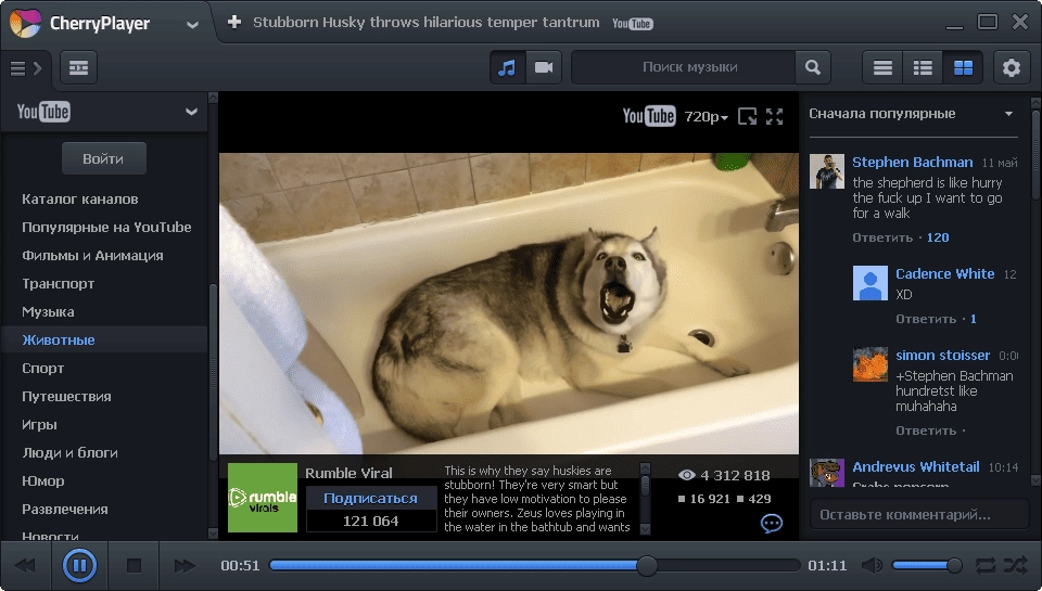 Aktivatsiya Cherryplayer 3.3.2 Portable.webp