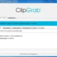 Aktivatsiya Clipgrab 3.6.1.webp
