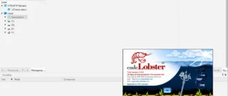 Aktivatsiya Codelobster Ide 2.1.0.webp