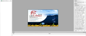 Aktivatsiya Codelobster Php Edition Pro 5.11.4.webp