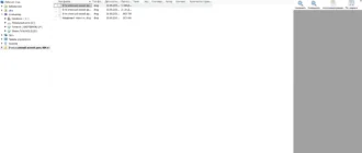 Aktivatsiya Coolutils Total Cad Converter 3.1.0.178 Repack By Elchupacabra.webp