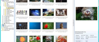 Aktivatsiya Coolutils Total Image Converter 5.1.21.webp