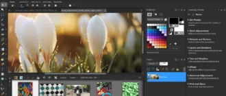 Aktivatsiya Corel Paintshop Pro Ultimate 25.1.0.28.webp