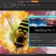 Aktivatsiya Corel Paintshop Pro X8 18.0.0.124 Retail Ultimate Pack.webp