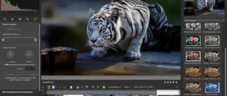 Aktivatsiya Corel Paintshop Pro X9 Ultimate 19.2.0.7 Repack By Kpojiuk.webp