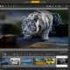 Aktivatsiya Corel Paintshop Pro X9 Ultimate 19.2.0.7 Repack By Kpojiuk.webp