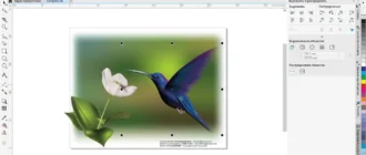 Aktivatsiya Coreldraw Graphics Suite 20.1.0.708.webp