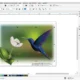 Aktivatsiya Coreldraw Graphics Suite 20.1.0.708.webp