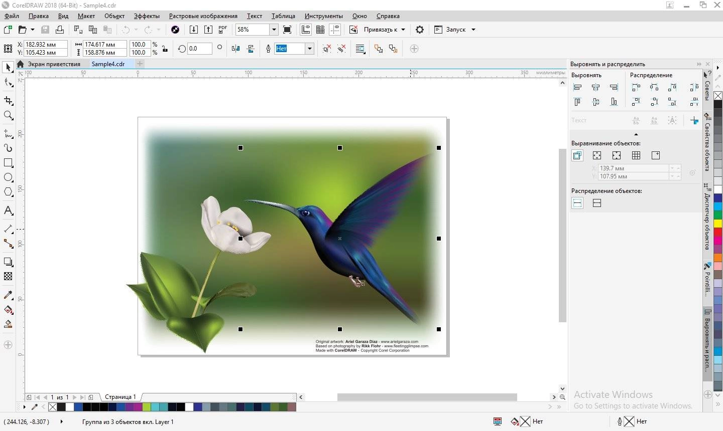 Aktivatsiya Coreldraw Graphics Suite 20.1.0.708.webp