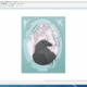 Aktivatsiya Coreldraw Graphics Suite 22.1.1.523.png