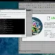 Aktivatsiya Debian Edu Skolelinux 11.0.0 Bullseye Nonfree 4xbd 4xcd.webp