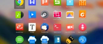 Aktivatsiya Deepin 15.5 1xdvd.webp
