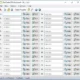 Aktivatsiya Dextronet Fastpaste 3.18 Professional.webp