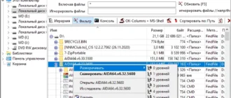 Aktivatsiya Dirprintok 6.96 Portable.webp