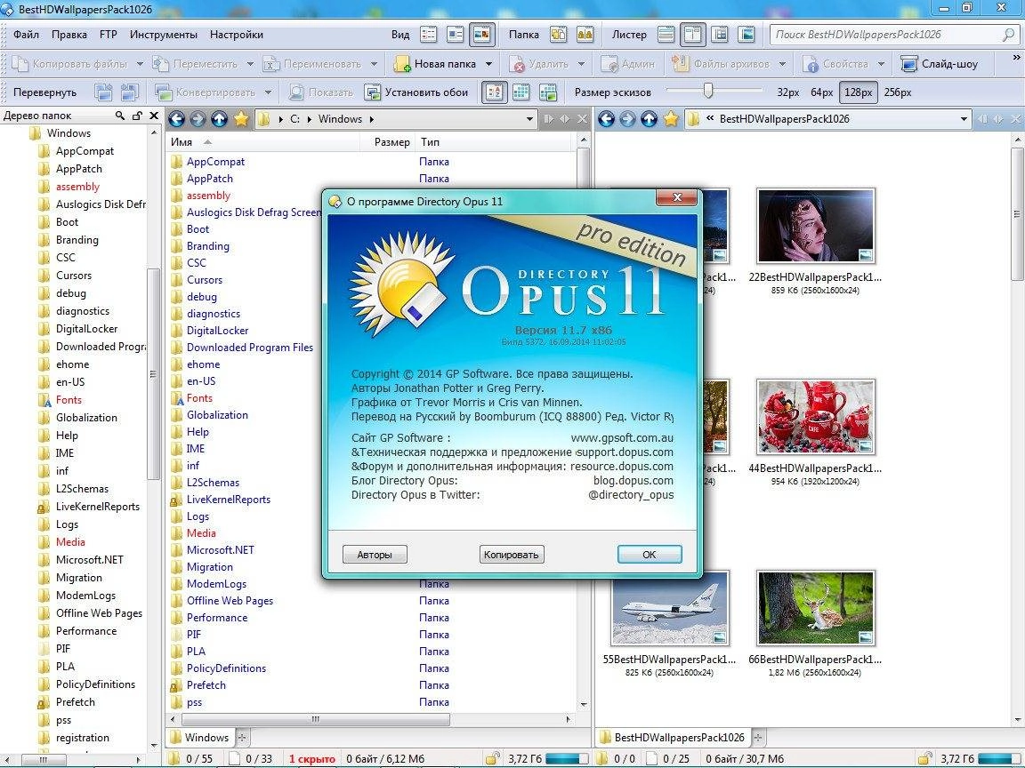 Aktivatsiya Directory Opus Pro 11.7 Build 5372 Final.webp