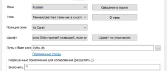 Aktivatsiya Ditto Clipboard Manager 3.24.220.0 Beta Portable.webp