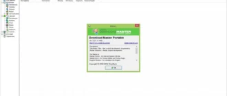 Aktivatsiya Download Master 5.21.1.1405 Repack By Kpojiuk.webp