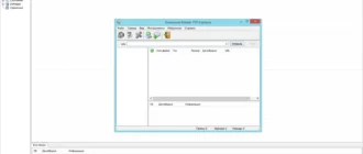 Aktivatsiya Download Master 5.21.1.1405 Repack By Elchupacabra.webp