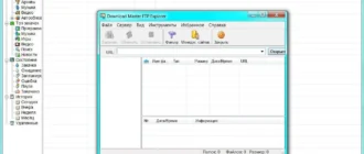 Aktivatsiya Download Master 5.21.2.1407 Final Portable.webp