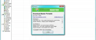 Aktivatsiya Download Master 6.0.1.1423 Final Portable.webp