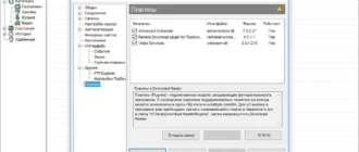Aktivatsiya Download Master 6.6.1.1483 Repack By Dakov.webp